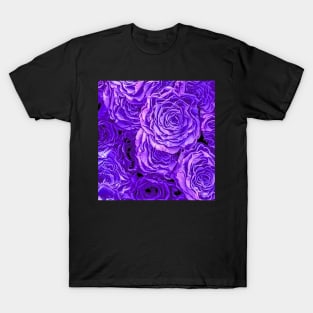 Purple Roses T-Shirt